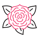 rosa icon