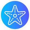 estrella de mar