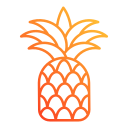 piña icon