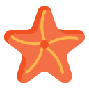 estrella de mar