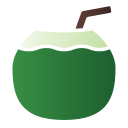 bebida de coco icon