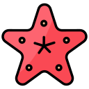 estrella de mar