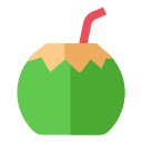 bebida de coco icon