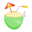 bebida de coco icon