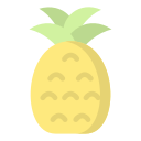 piña icon