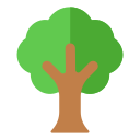 Árbol icon