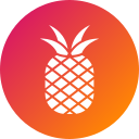 ananas 