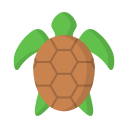 tortuga