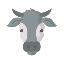 vaca