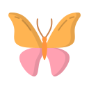 mariposa