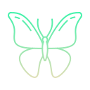 mariposa icon