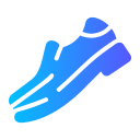 zapatos icon