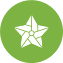 estrella icon