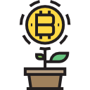 bitcoin icon