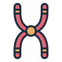 cromosoma icon