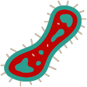 bacterias icon