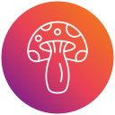 champiñón icon