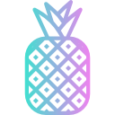 piña icon