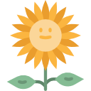 girasol icon