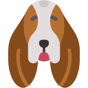 basset hound icon