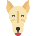 galgo icon