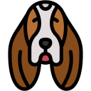 Basset Hound icon