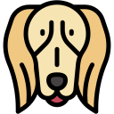 saluki icon