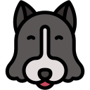 collie de frontera icon