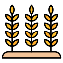 trigo icon