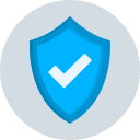 seguridad icon