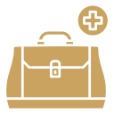 bolsa de médico icon