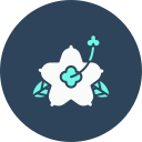 hibisco icon