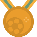 medalla icon