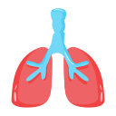 pulmones icon