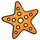 estrella de mar icon