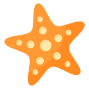 estrella de mar icon