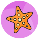 estrella de mar icon