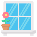 Window 