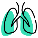 pulmones