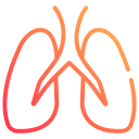 pulmones 