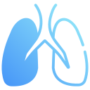 pulmones 