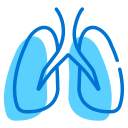 pulmones 