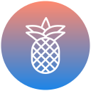 piña icon