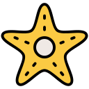 estrella de mar