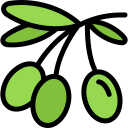 aceituna icon