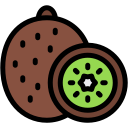 kiwi icon