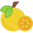 naranja icon