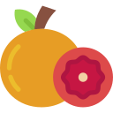 pomelo icon