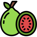 guayaba icon