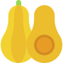 calabaza moscada icon